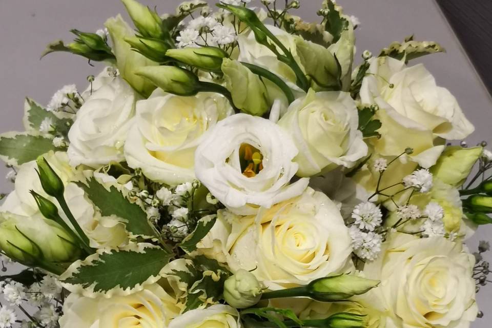 Tallo Floristas