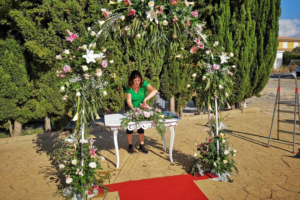 Tallo Floristas