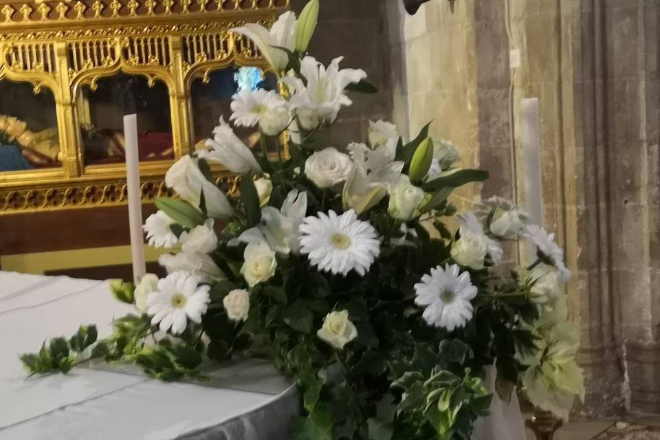 Tallo Floristas
