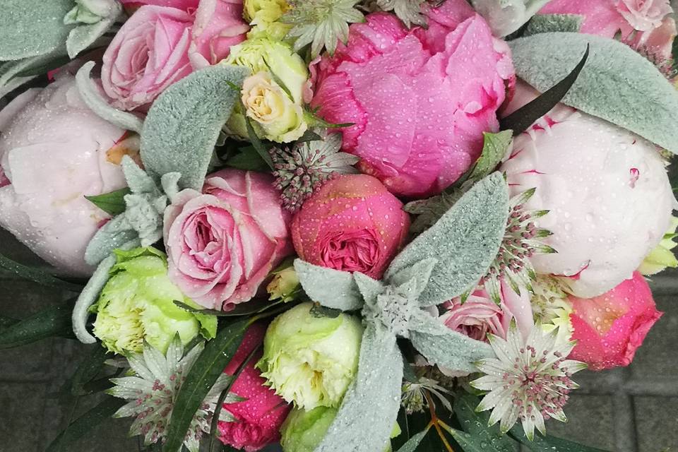 Tallo Floristas