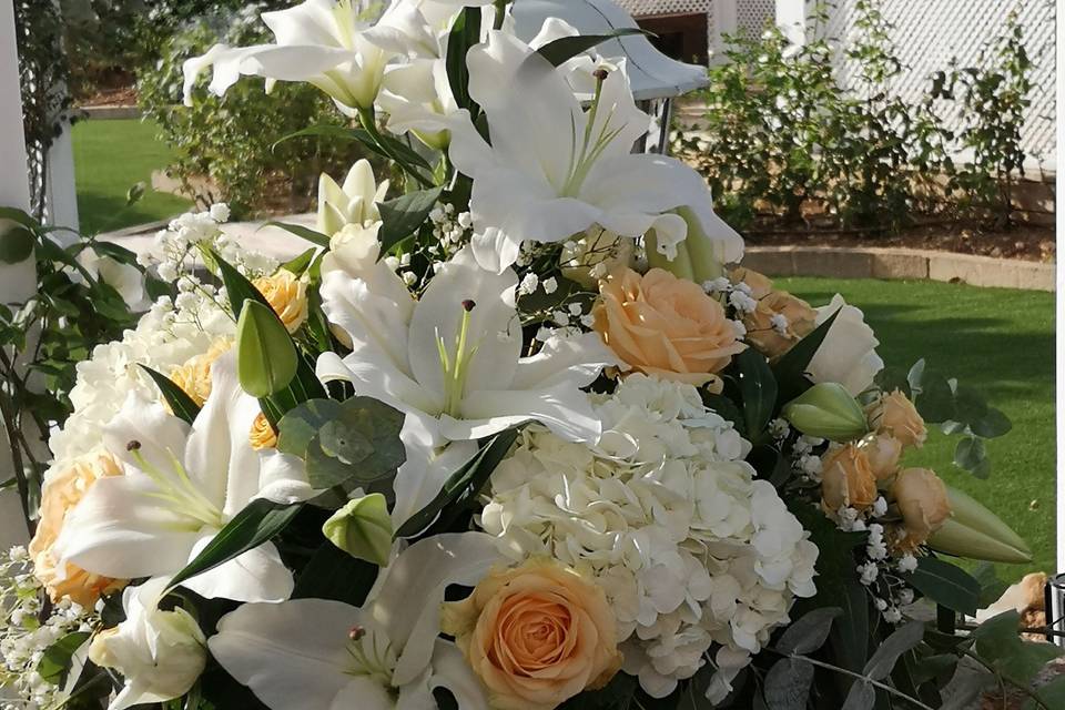 Tallo Floristas