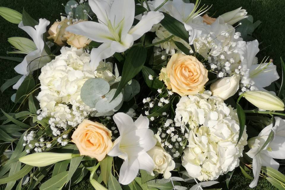 Tallo Floristas