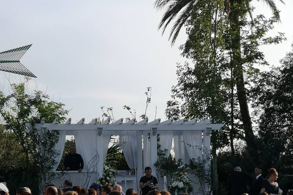 Tallo Floristas