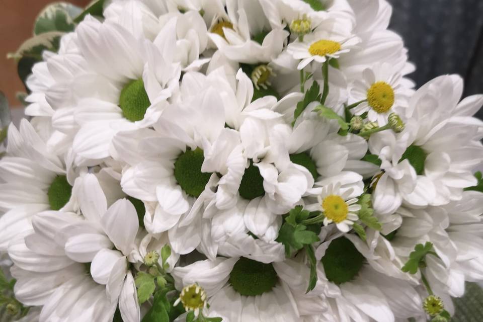 Tallo Floristas