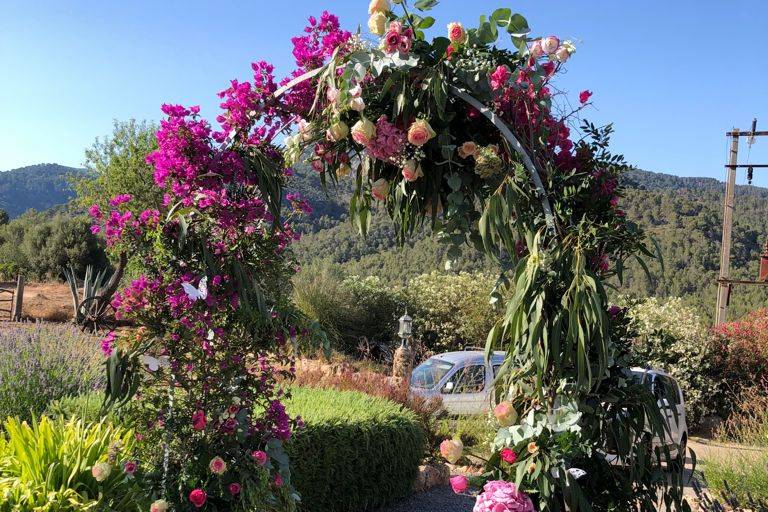 Tallo Floristas