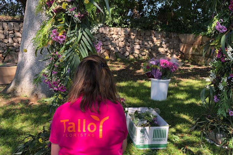 Tallo Floristas