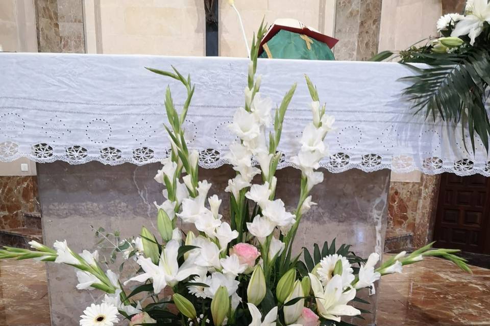 Tallo Floristas