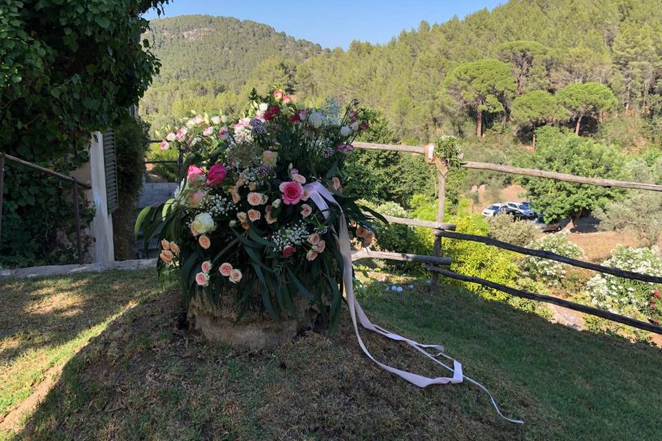 Tallo Floristas