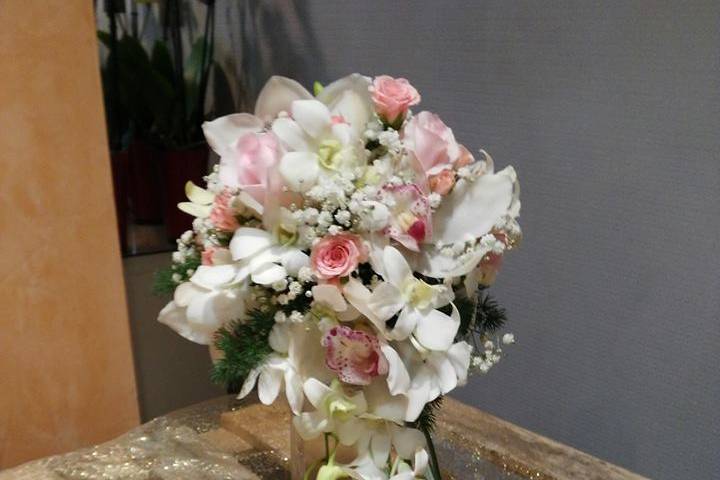 Tallo Floristas