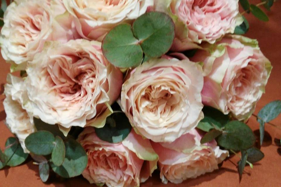Tallo Floristas
