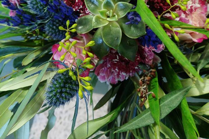 Tallo Floristas