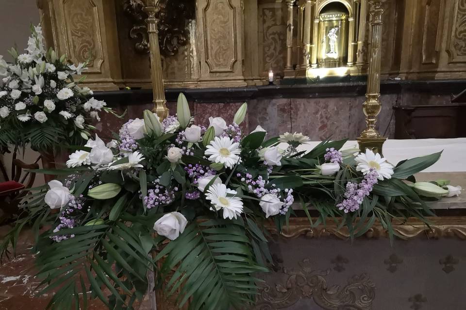 Tallo Floristas