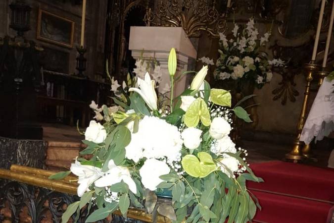 Tallo Floristas