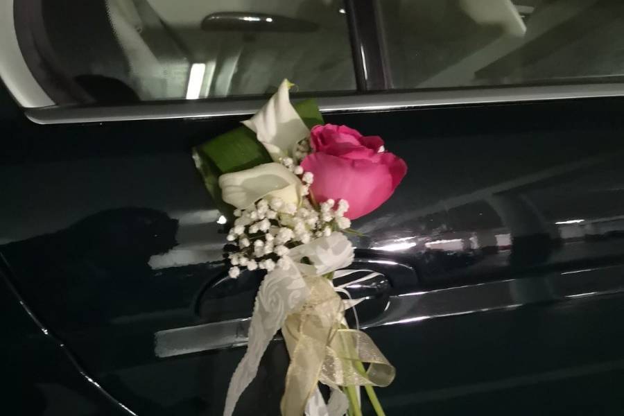 Tallo Floristas