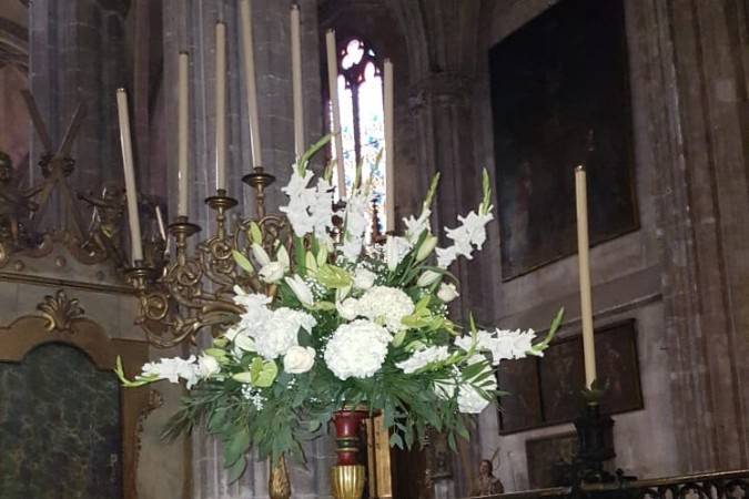 Tallo Floristas