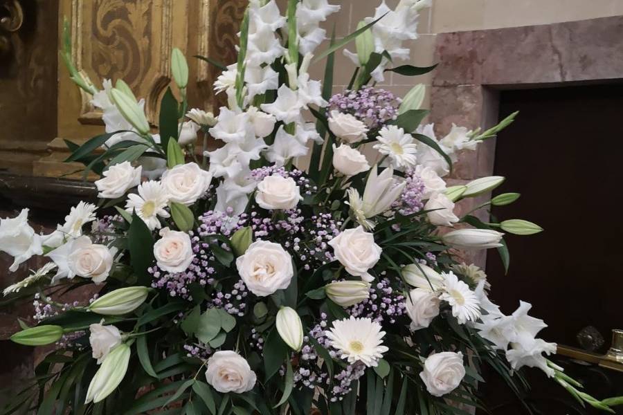 Tallo Floristas