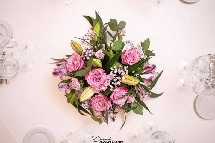 Tallo Floristas
