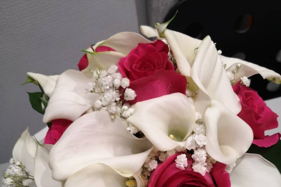 Tallo Floristas