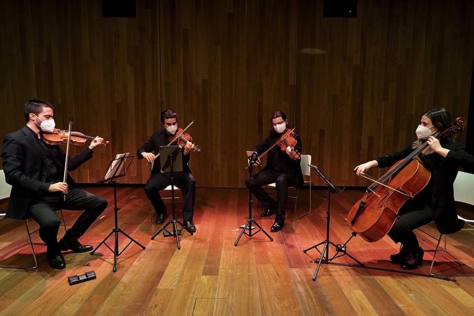 SolFaMi Quartet