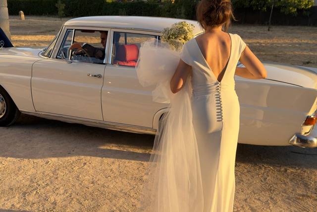 Clásico de Boda