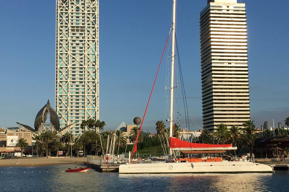 Catamarán 125 pax