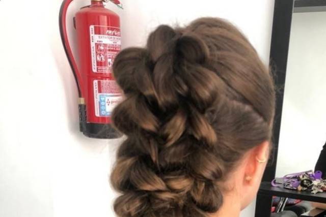 Coleta alta doble trenza