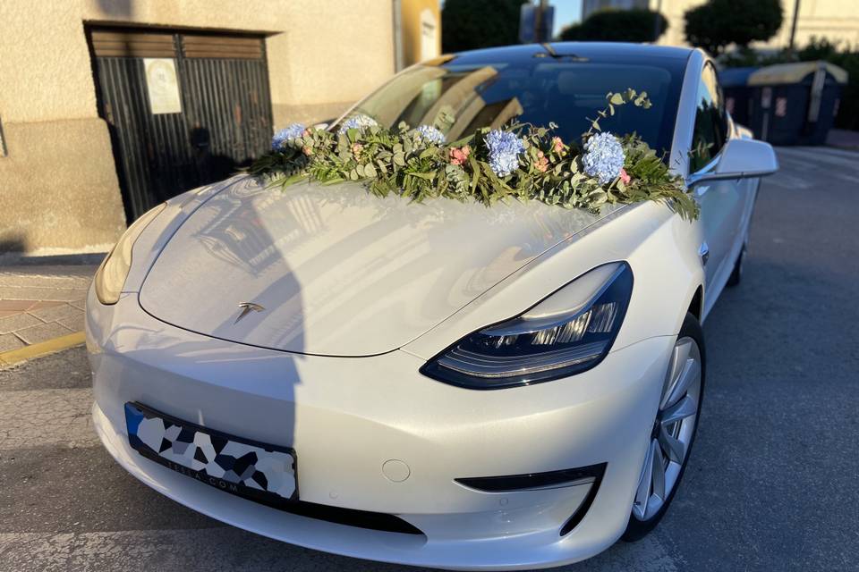 EMotions - Tesla Model 3
