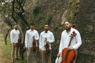 Busker String Quartet