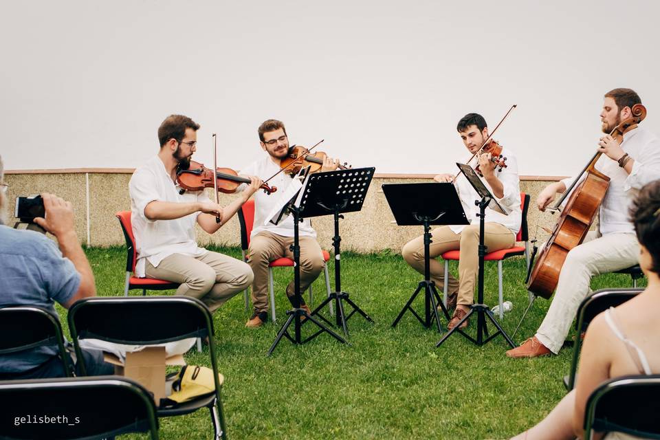 Busker String Quartet