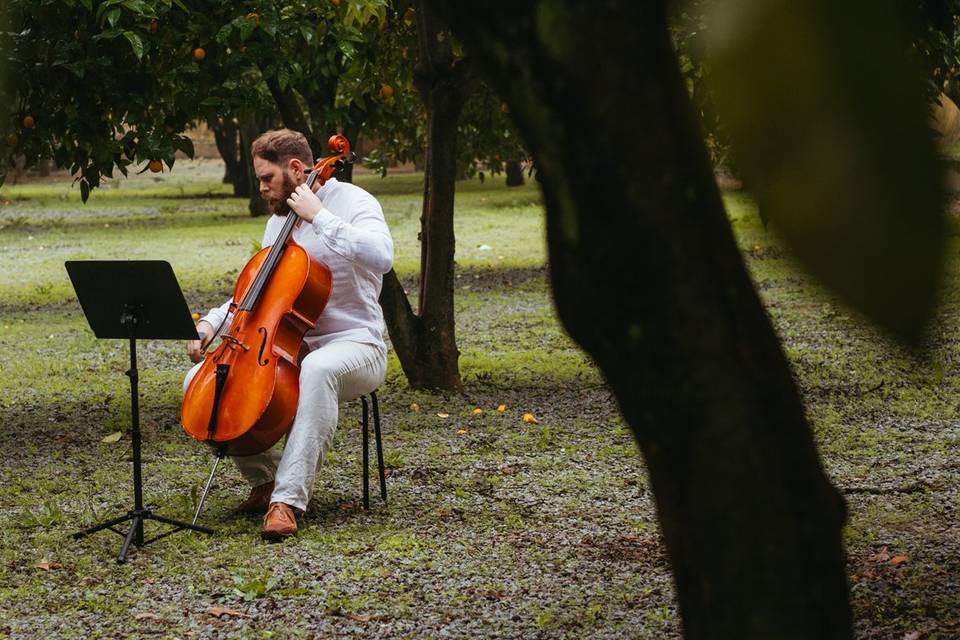 Busker String Quartet