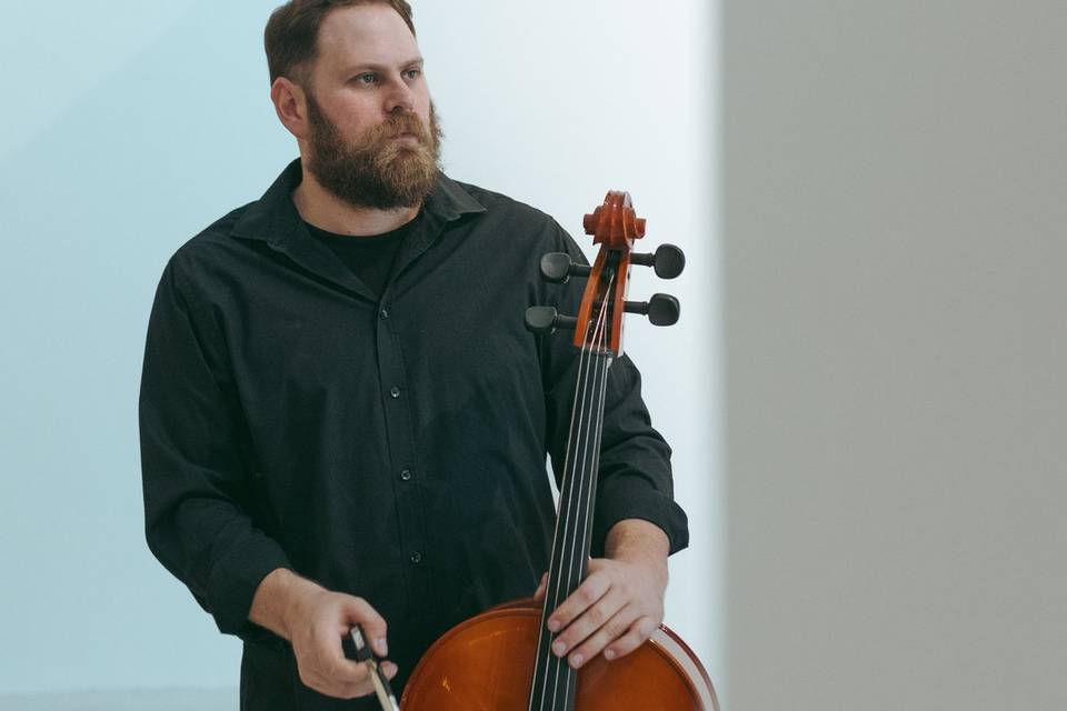 Busker String Quartet