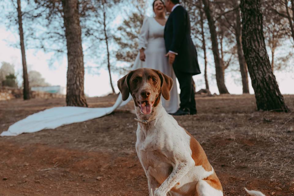 Postboda