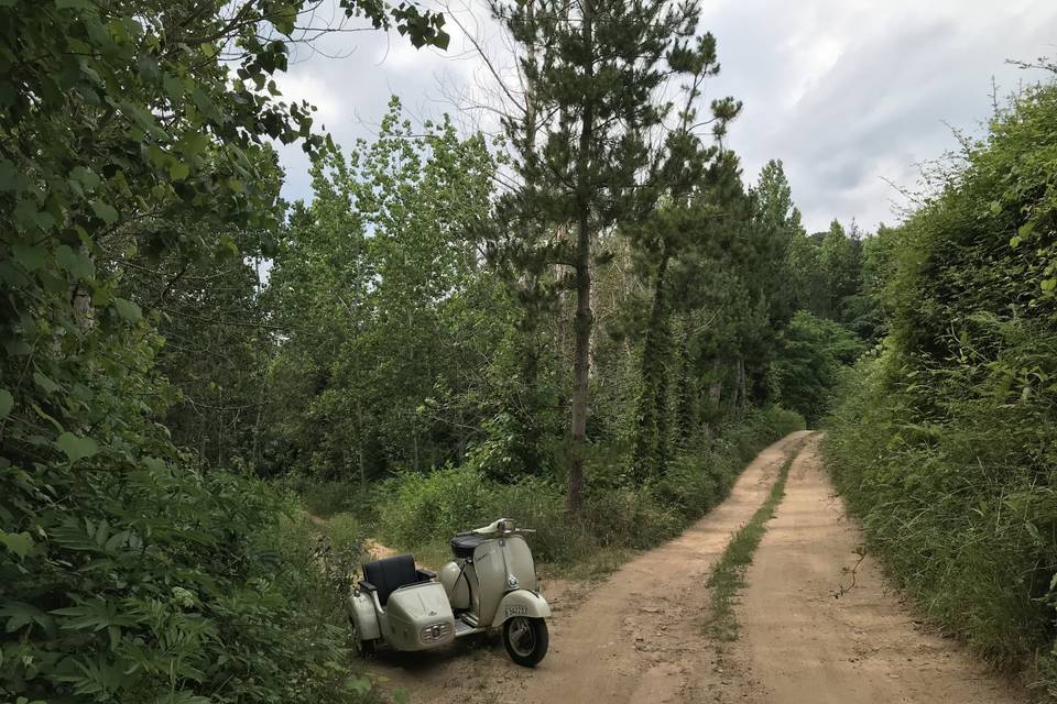 Moto para bodas