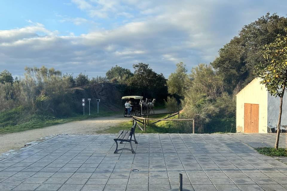 Terraza