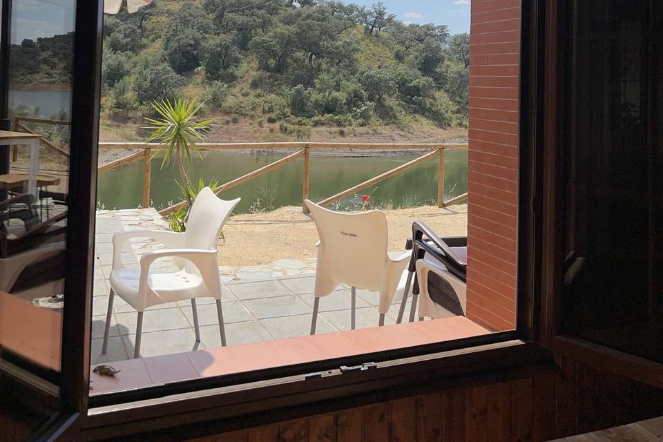 Vistas salón