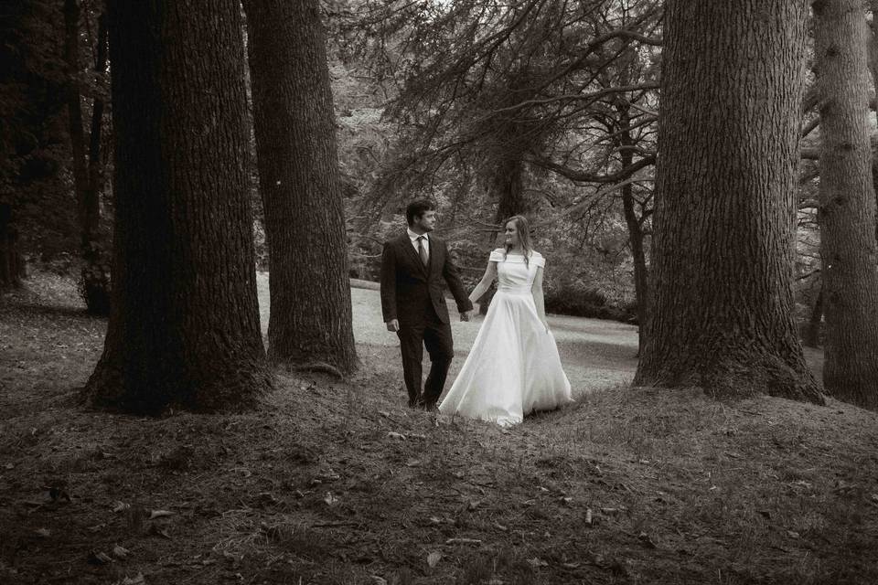 Fotógrafo de bodas Asturias