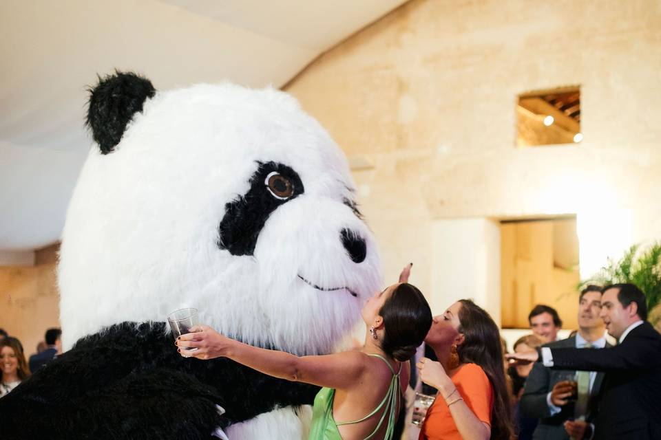 Panda Gigante Bailón