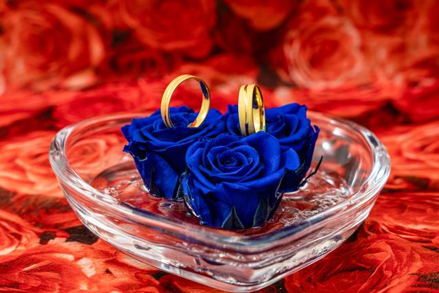 Corazón Rosas Azules