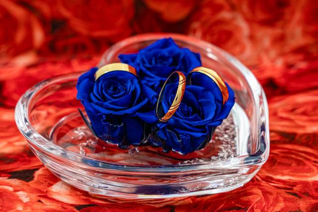 Alianzas de boda