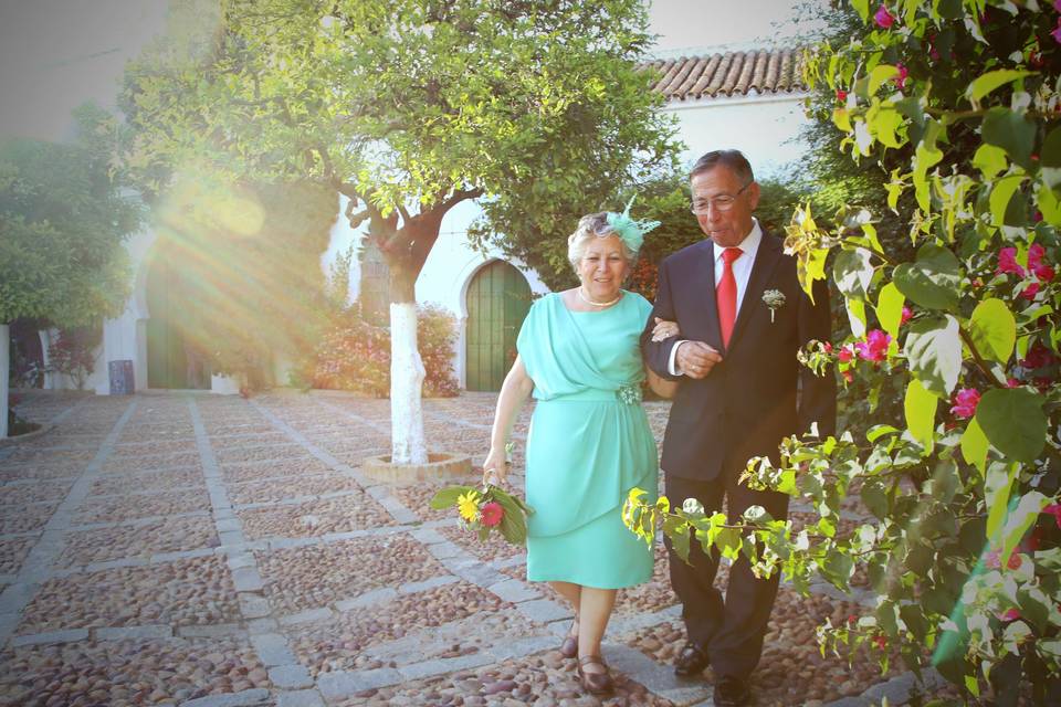 Boda de Oro - Paseo