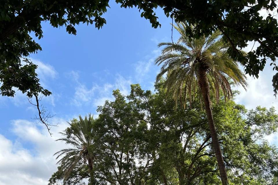 Ceremonia en el jardín