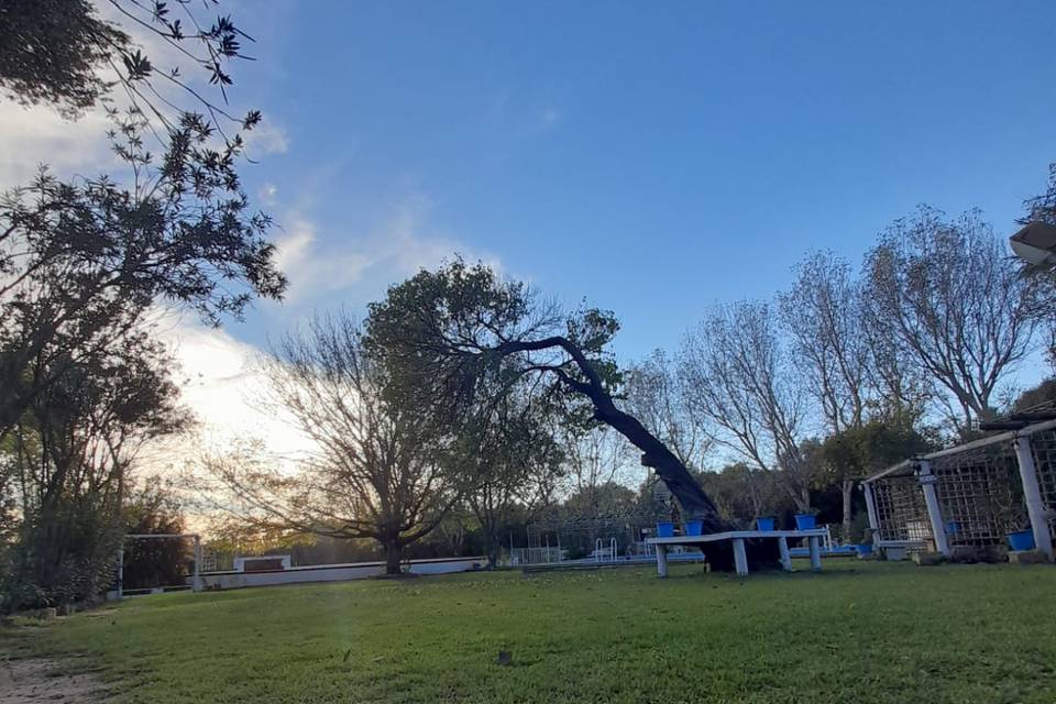 Alojamiento Rural El Molino