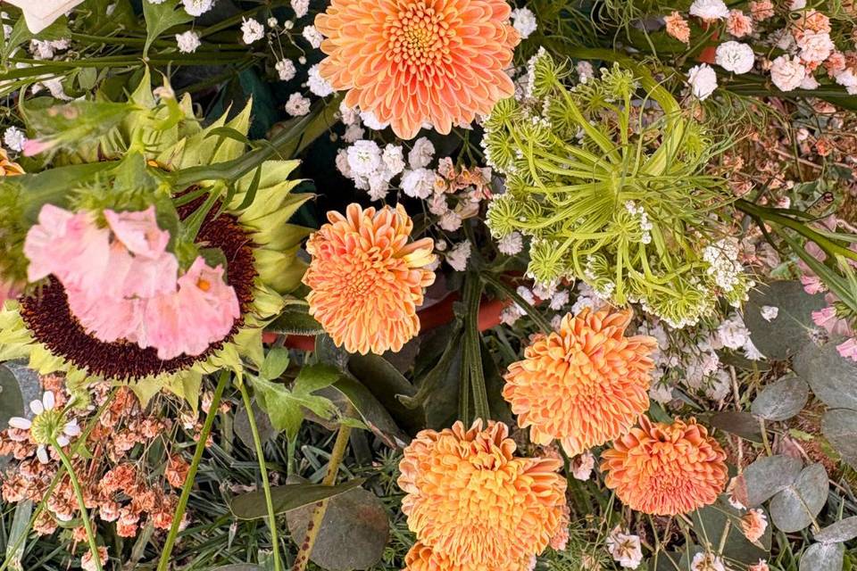 Flores