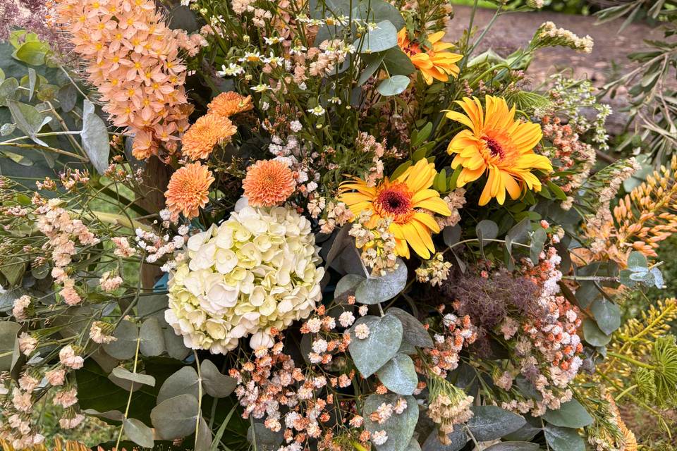 Flores