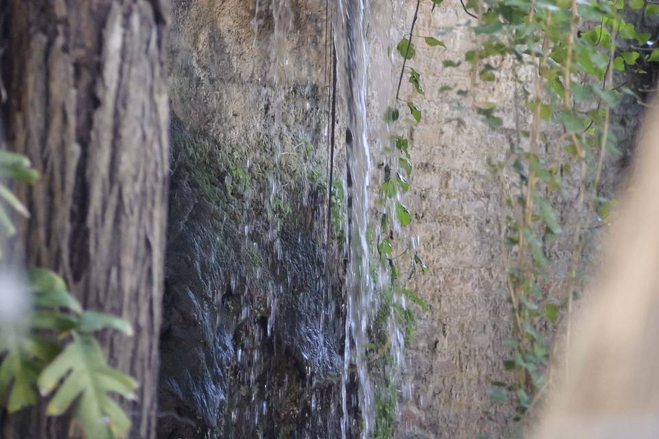 Cascada (zona de cóctel)