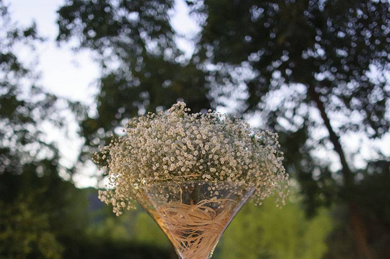 Centro de mesa copa drymartini