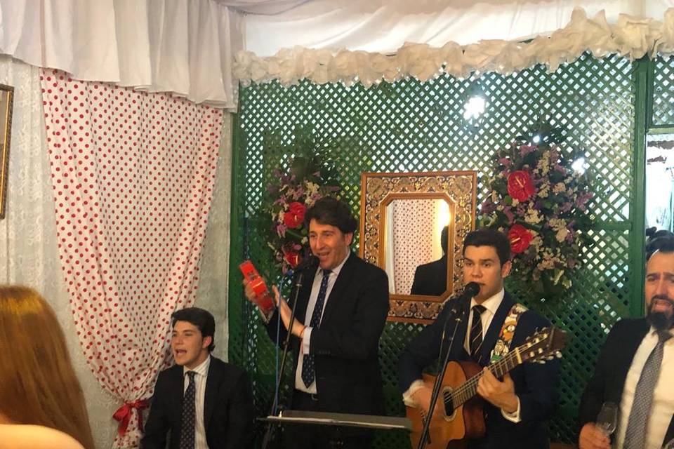 Trabubus Grupo Flamenco