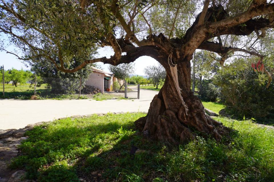 Rincones