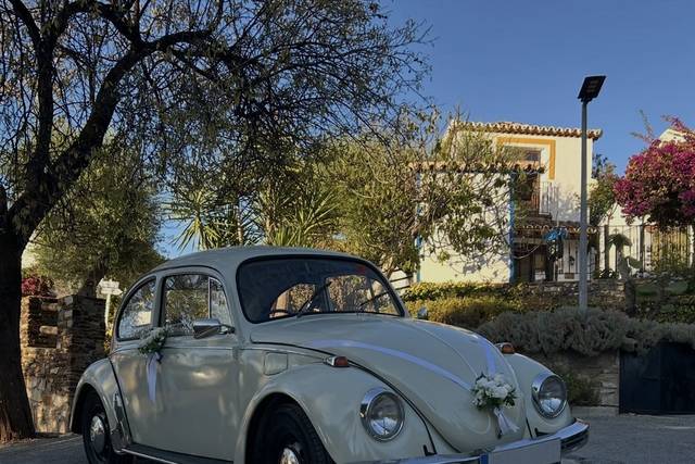 Volkswagen Escarabajo