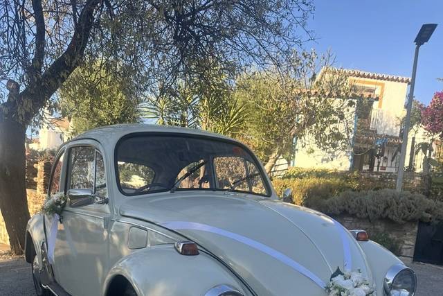 Volkswagen Escarabajo